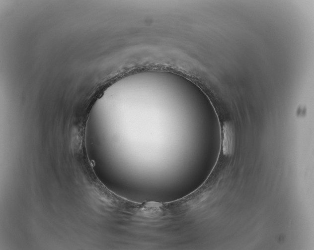 X0000092071491200709191152