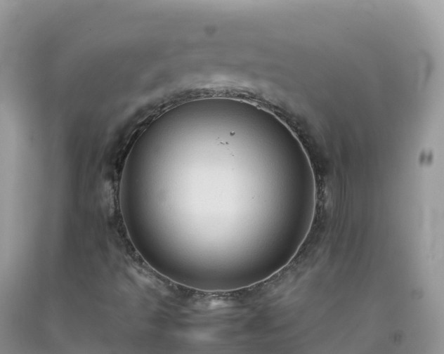 X0000092071493200709191152