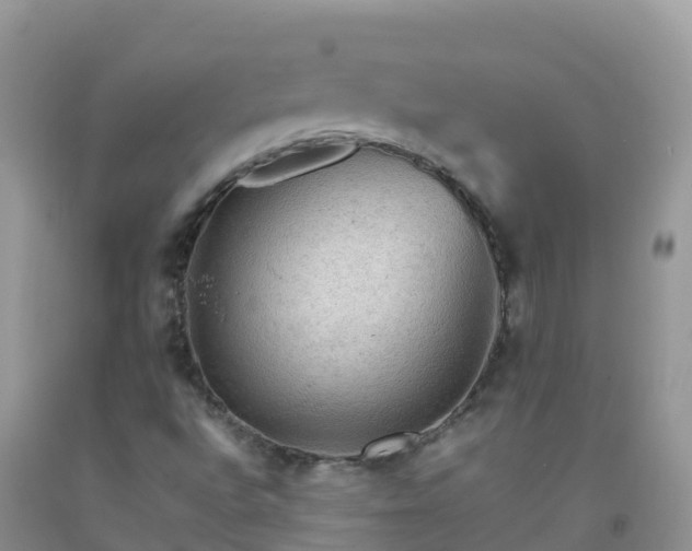 X0000092071496200709191152