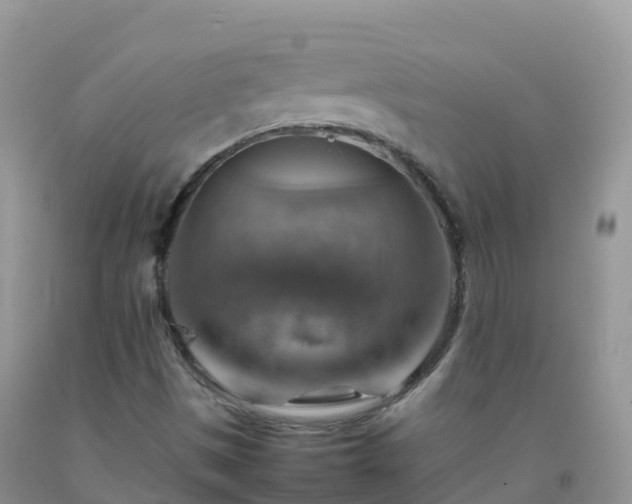 X0000092071497200709191152