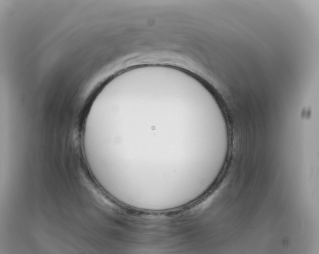 X0000092071498200709191152