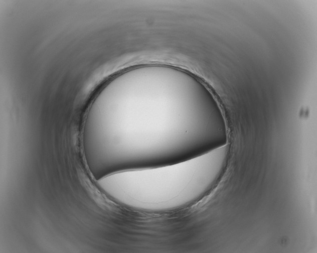 X0000092071499200709191152