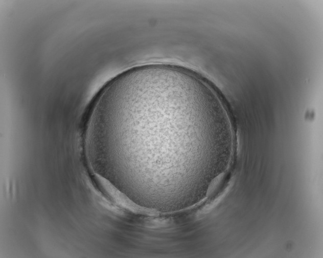 X0000092071501200709191152