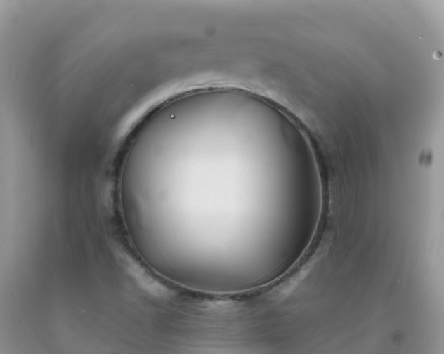 X0000092071502200709191152