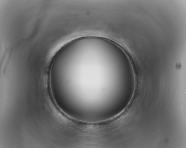 X0000092071504200709191152