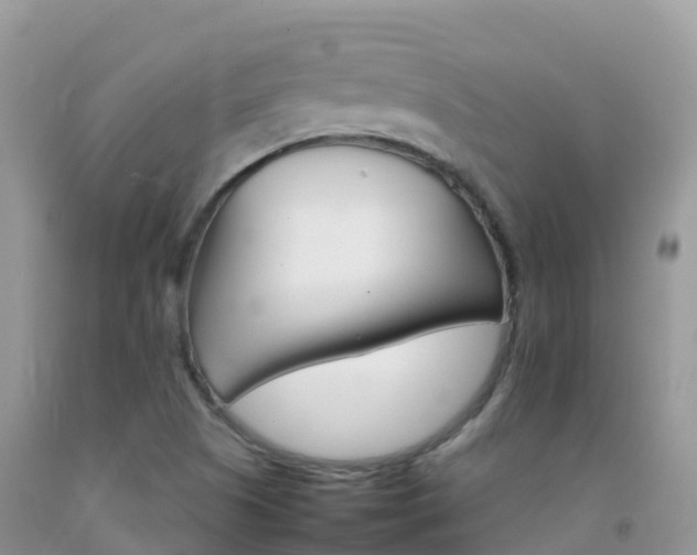 X0000092071505200709191152