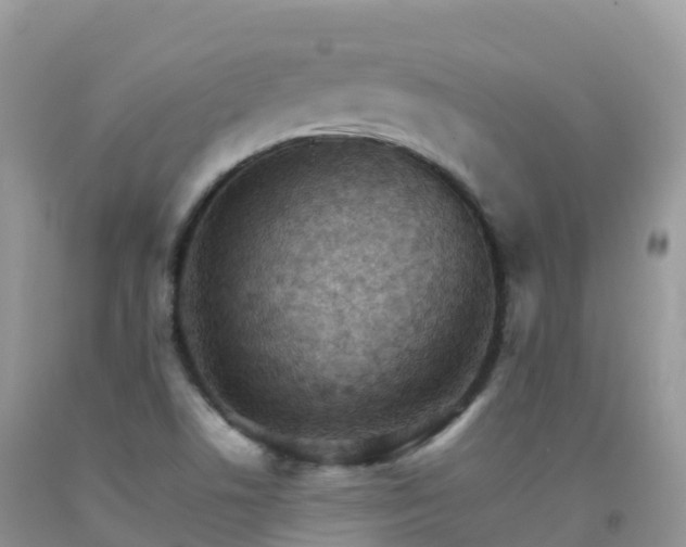 X0000092071506200709191152