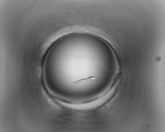 X0000092071507200709191152