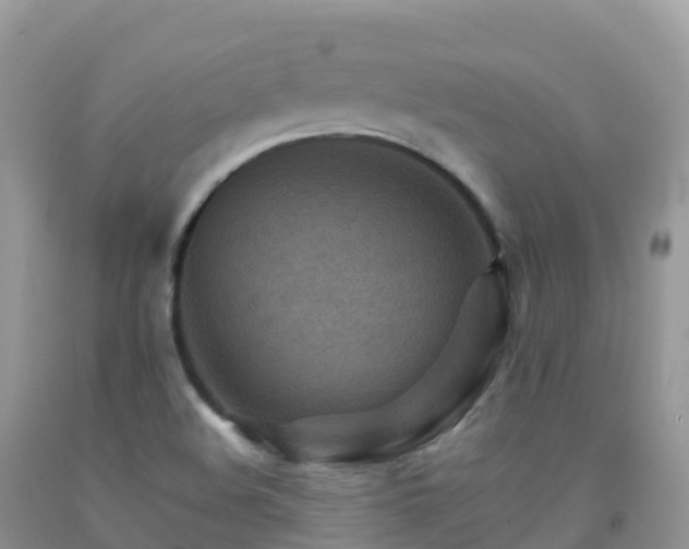 X0000092071508200709191152