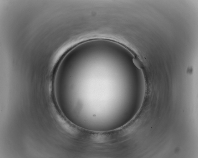X0000092071511200709191152