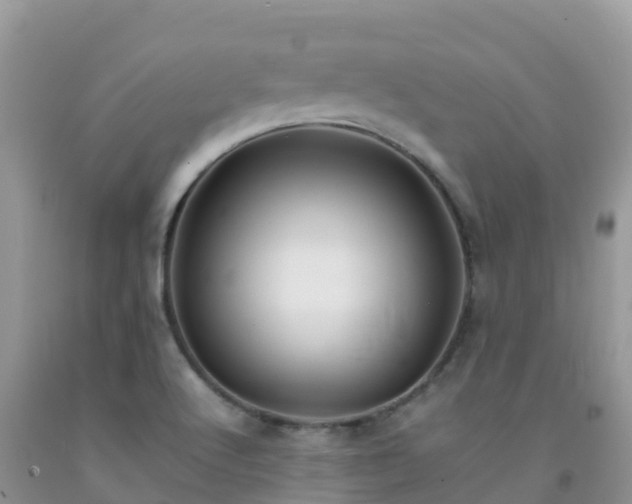 X0000092071512200709191152