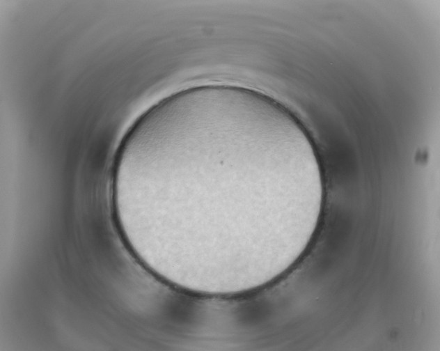X0000092071514200709191152