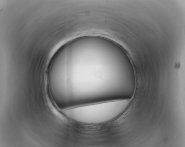 X0000092071515200709191152