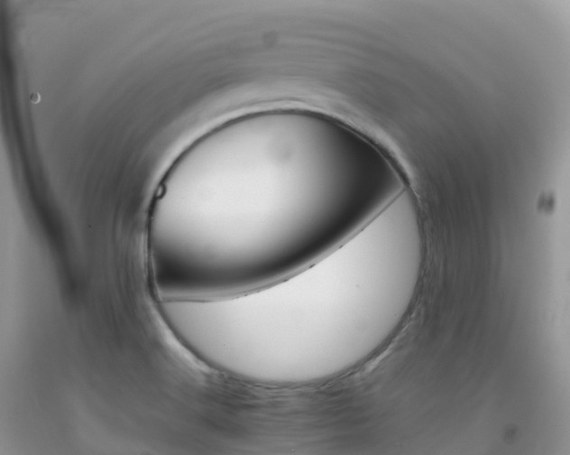 X0000092071516200709191152