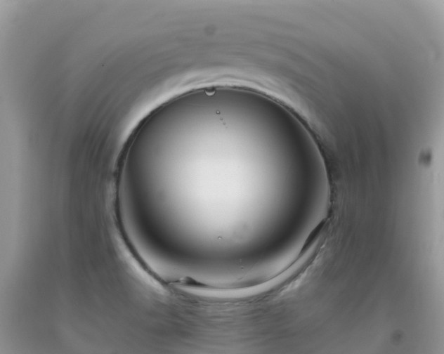 X0000092071518200709191152