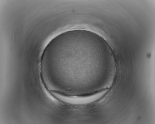 X0000092071519200709191152