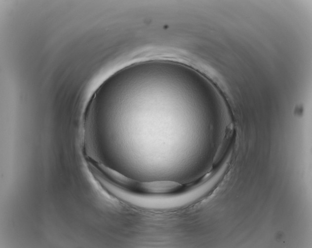 X0000092071520200709191152