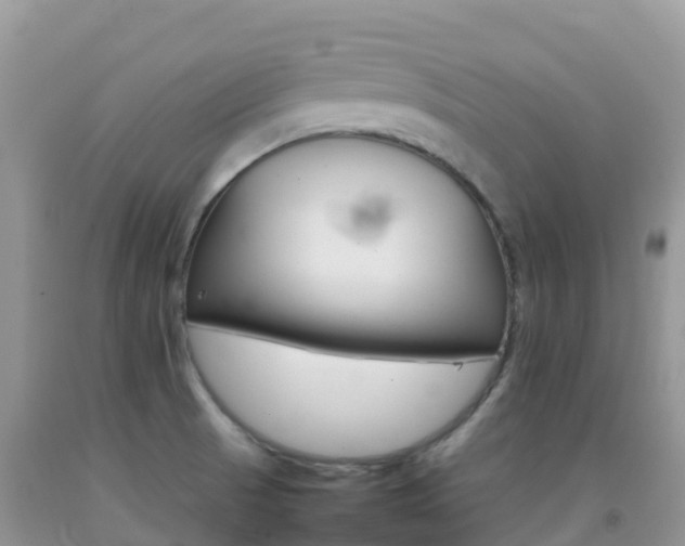 X0000092071521200709191152
