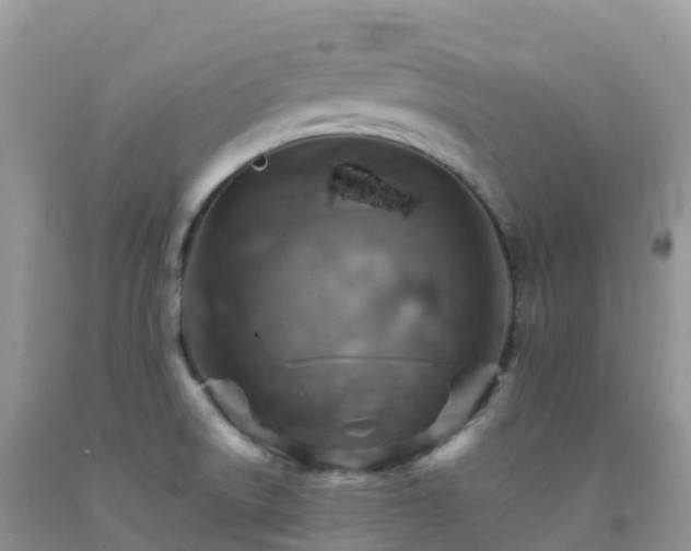 X0000092071522200709191152