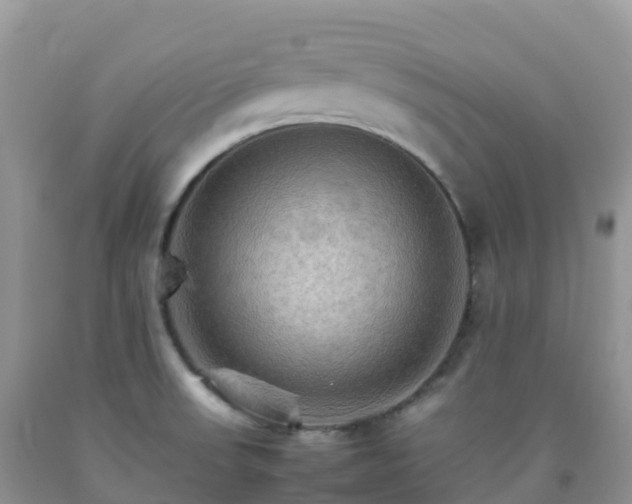 X0000092071523200709191152