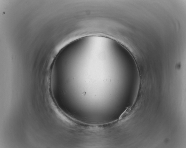 X0000092071526200709191152