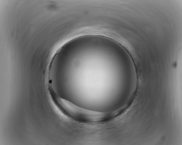 X0000092071528200709191152