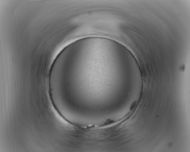 X0000092071531200709191152