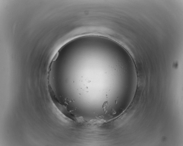 X0000092071532200709191153