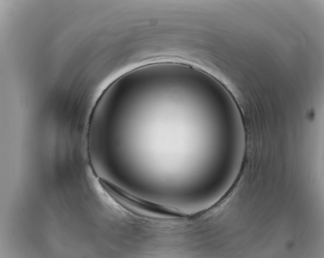 X0000092071534200709191153