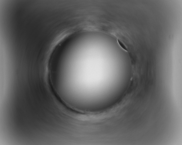 X0000092070005200709262054