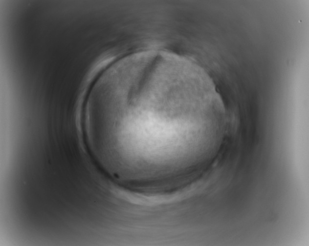 X0000092070006200709262054