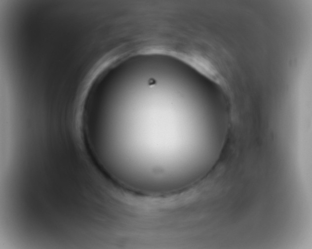 X0000092070007200709262054