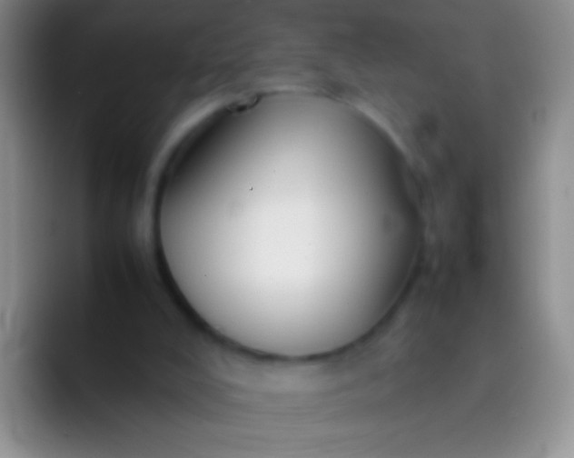 X0000092070008200709262054
