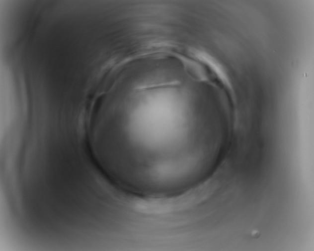 X0000092070009200709262054