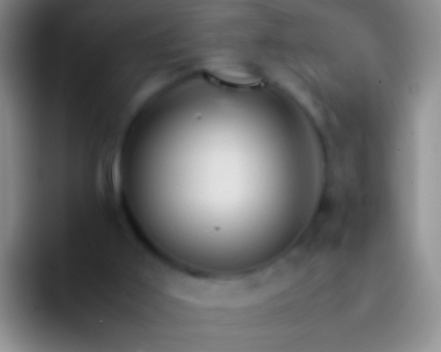 X0000092070011200709262054