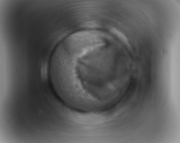 X0000092070012200709262054