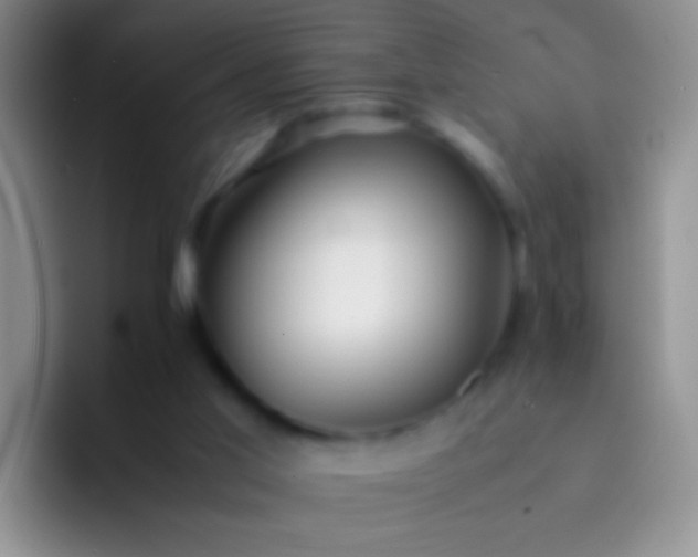 X0000092070013200709262054