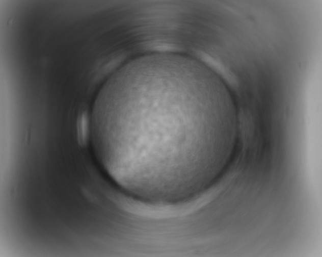 X0000092070014200709262054