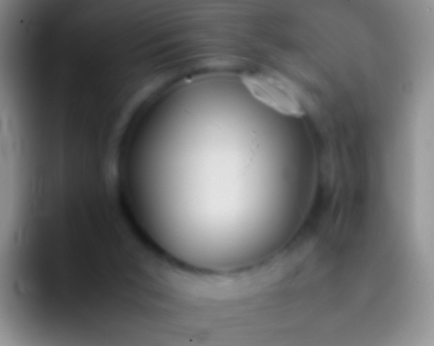 X0000092070015200709262054
