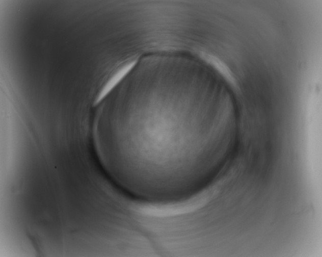 X0000092070017200709262054