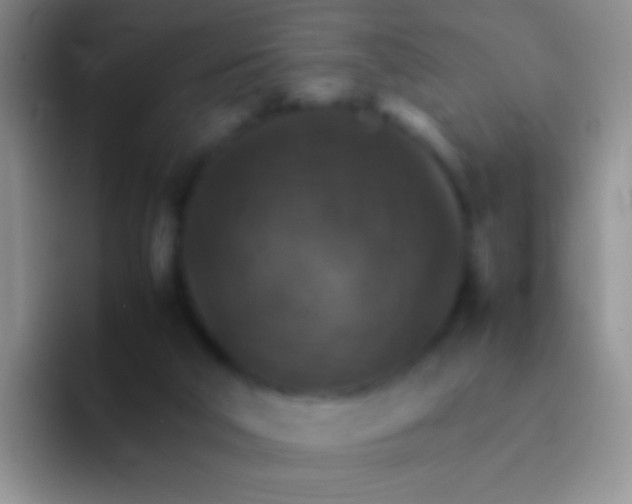 X0000092070018200709262054