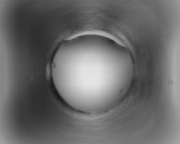 X0000092070019200709262054