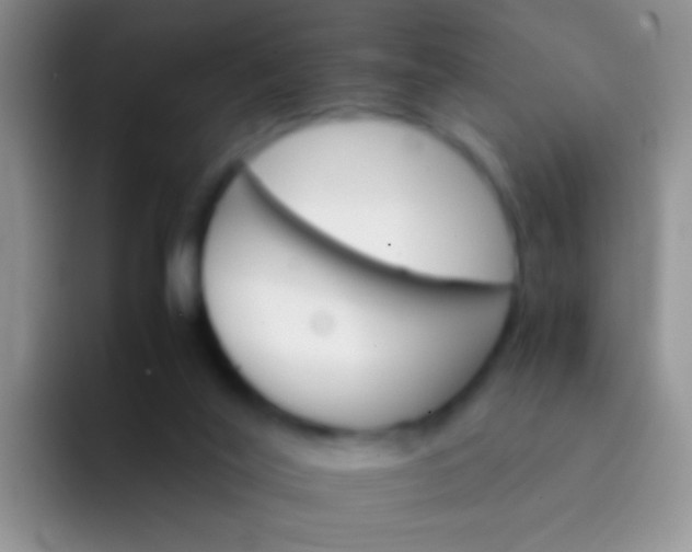 X0000092070020200709262054