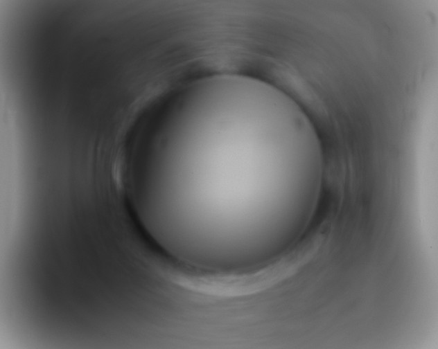 X0000092070023200709262054
