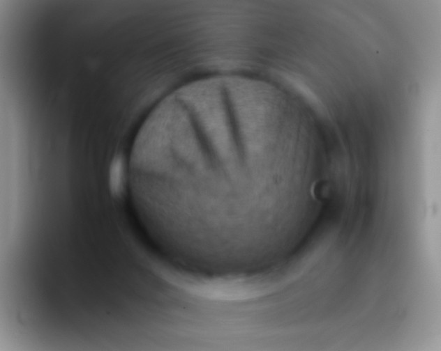 X0000092070024200709262054