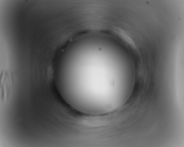 X0000092070025200709262054