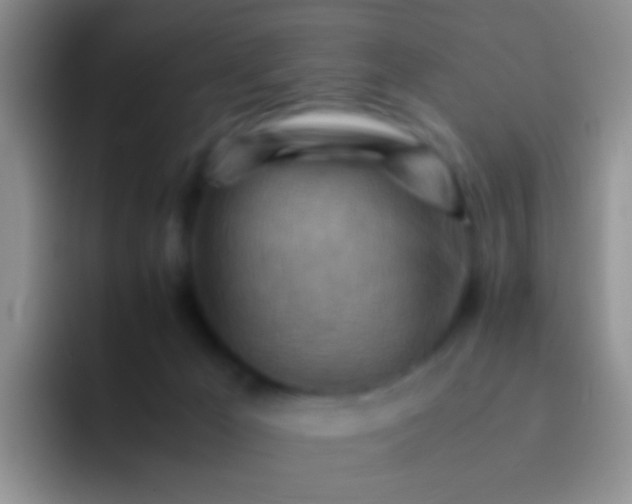 X0000092070029200709262054