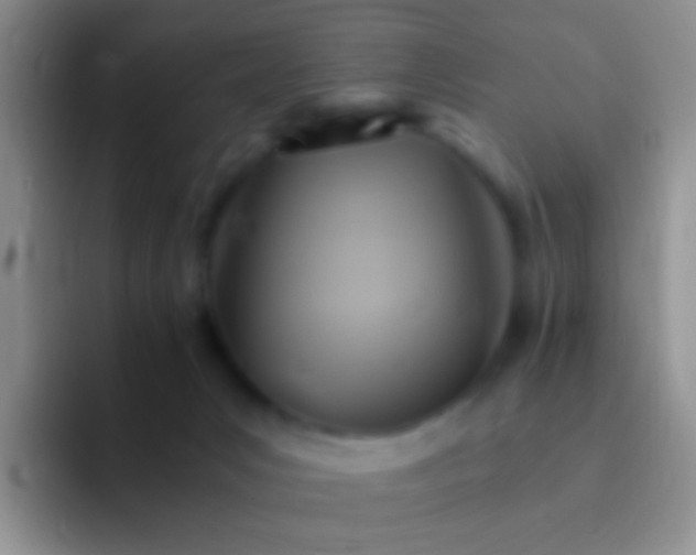 X0000092070031200709262054