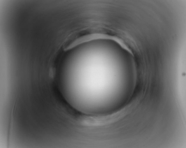 X0000092070033200709262054