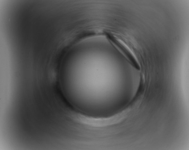 X0000092070039200709262054